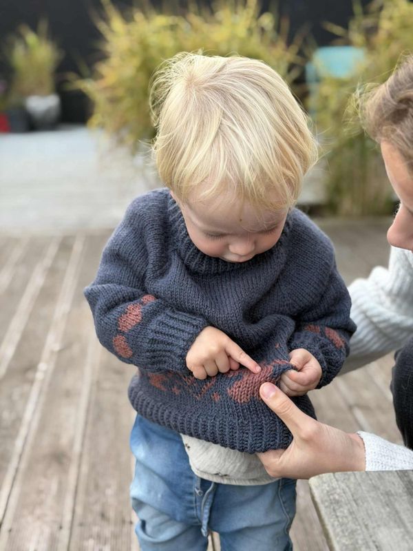 Pebberkage-genser (strikkepakke)